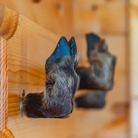 Ferienhuette Schober Alm Daire