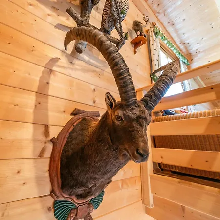 Ferienhuette Schober Alm *