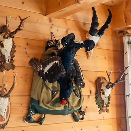 Апартаменты Ferienhuette Schober Alm