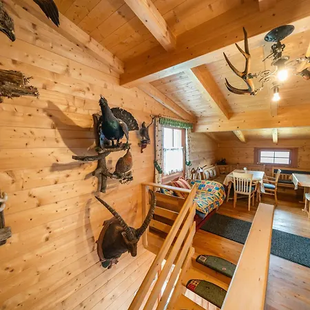 Ferienhuette Schober Alm