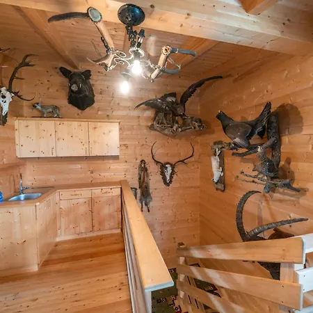 Ferienhuette Schober Alm * Ranach